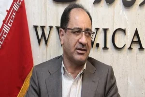 نماینده مجلس: نفوذ خودروسازان مانع اجرای قانون است