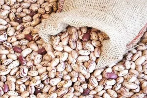 آیا روند نزولی قیمت حبوبات ادامه خواهد داشت؟