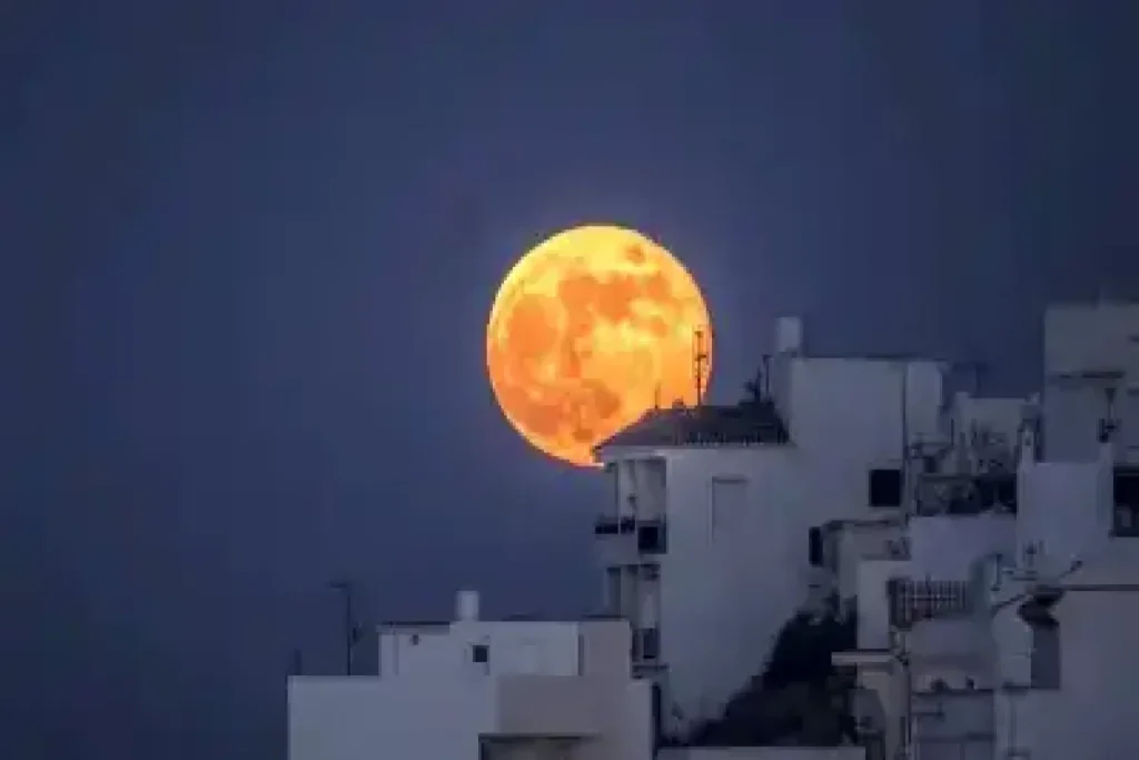 ماهسیاه ak8674 1200x800