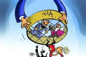 حوزه اقتصادی و مالی خانوارها نباید حریم خصوصی تلقی شود/ اطلاعات مالی دولت پراشتباه و ضعیف است