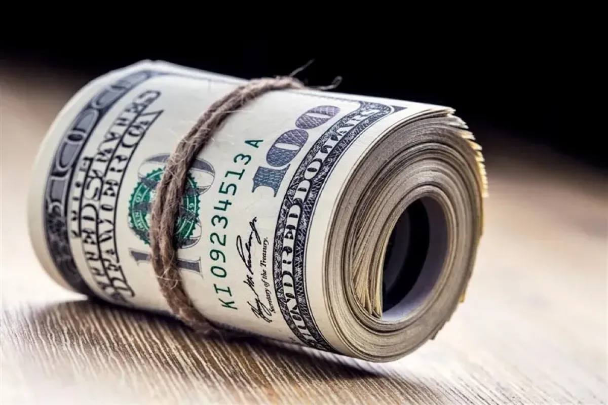 محکومیت پنج هزار میلیارد ریالی قاچاقچی ارز