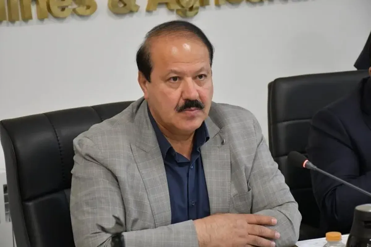 تولید گندم در گلستان کاهش یافت