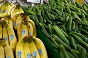 یکی از عوامل گرانی خیار در بازار چیست؟