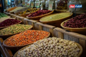 قیمت حبوبات با آغاز فصل برداشت روند نزولی پیدا کرده است / سال گذشته میزان واردات به ۱۷۰ هزار تن رسید