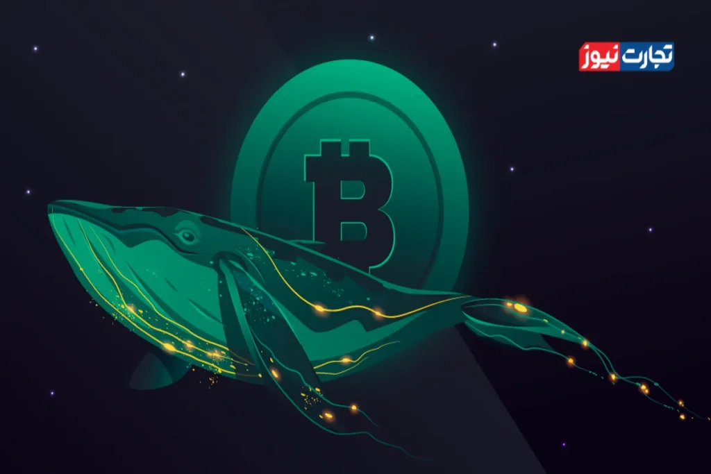 Bitcoin whales 10 ak4330 1200x800