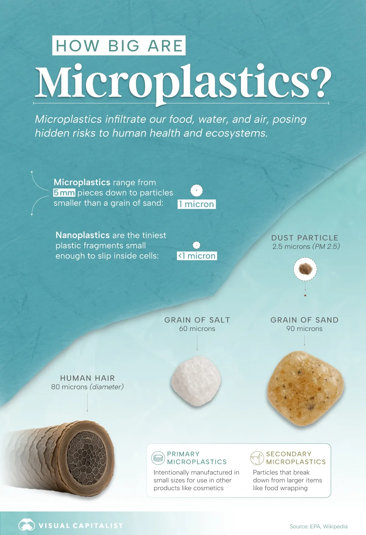 ریزپلاستیکها / میکروپلاستیکها چقدر کوچک هستند؟