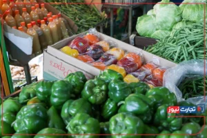 ناترازی انرژی به قیمت صیفی‌جات رسید / برق چاه‌های کشاورزی روزانه بین ۶ تا ۱۰ ساعت قطع می‌شود