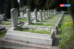 علت اصلی مرگ‌ومیر در اروپا چیست؟