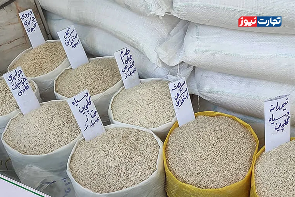 سود ۳۰ درصدی شرکت‌های بزرگ از فروش برنج / قیمت برنج نو در مقصد باید زیر ۳۰۰ هزار تومان باشد