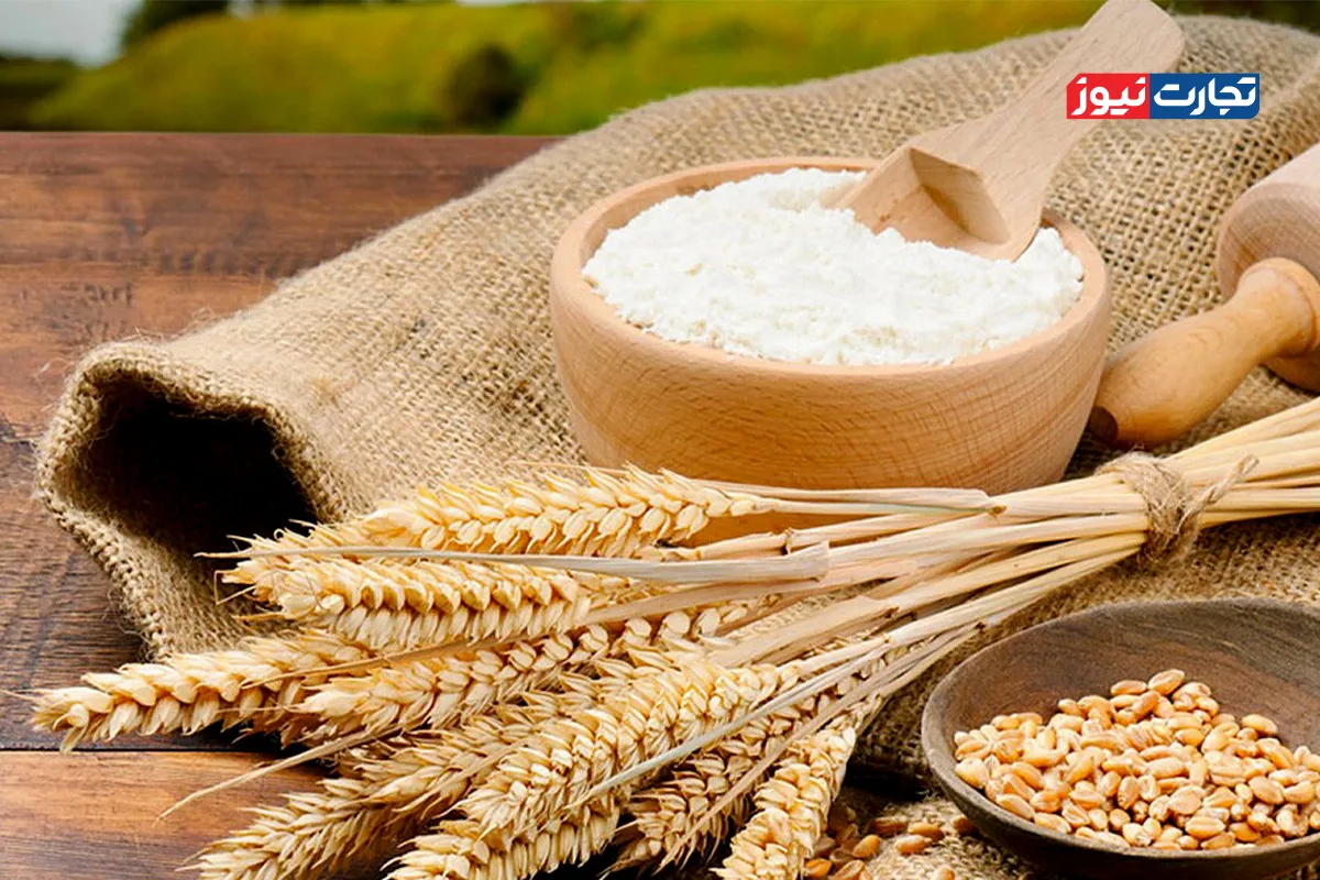 کاهش قیمت آرد بعد از خروج اتباع از ایران / مهم‌ترین عامل بهبود وضعیت عرضه در بازار تولید است