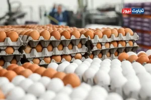 ابهام در قیمت‌گذاری تخم‌مرغ / آیا قیمت‌گذاری دستوری تخم‌مرغ به زیان مصرف‌کنندگان تمام می‌شود؟