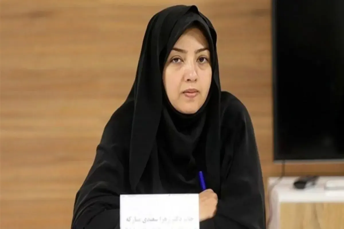 سعیدی، نماینده مجلس: این‌که جایی بودجه را حذف کنیم و جای دیگر اسراف شود فایده ندارد/ امیدوارم روزی شفاف همه چیز به مردم گفته شود