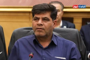 قیمت تضمینی گندم زیر ۳۳ هزار تومان باشد برای کشاورز صرفه اقتصادی ندارد