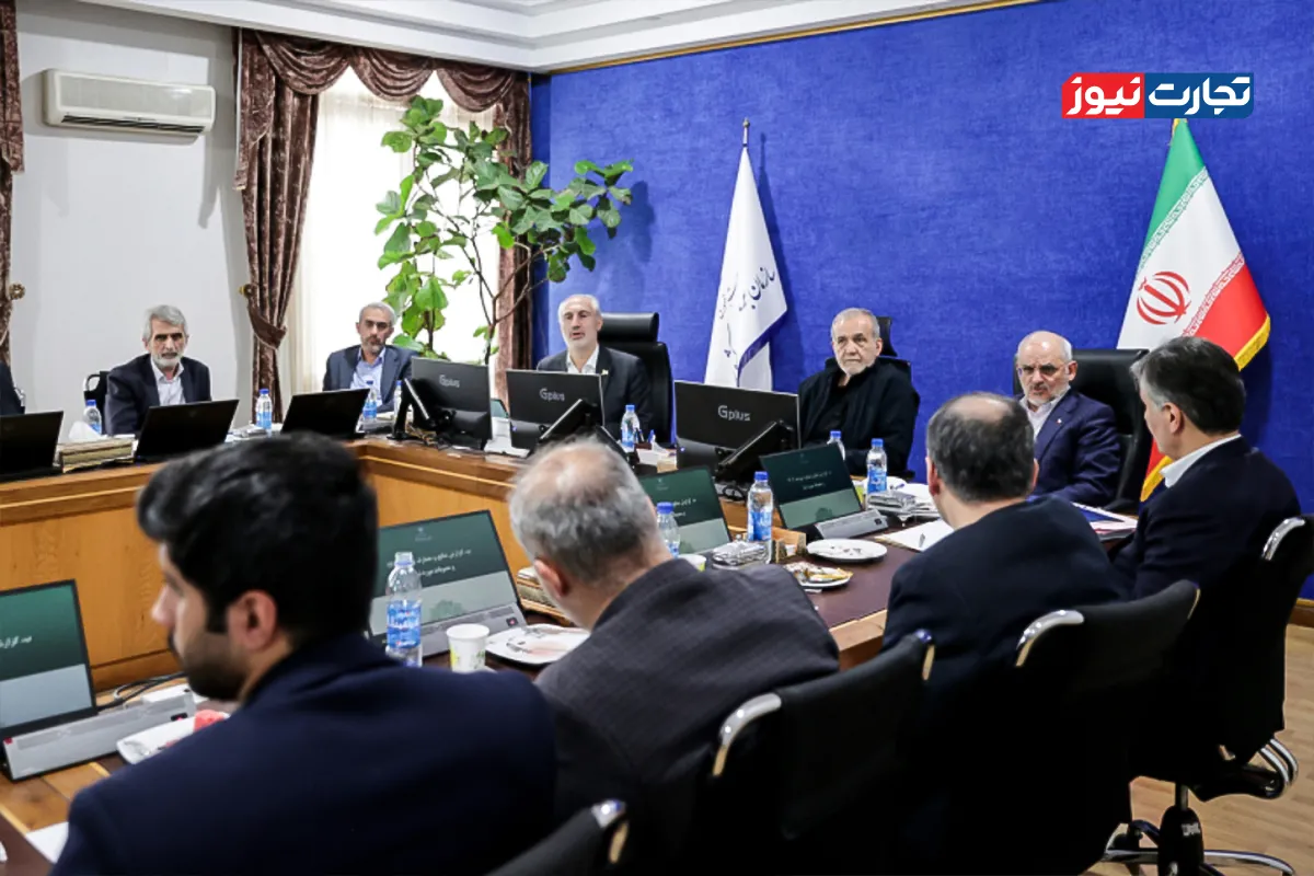 تیم اقتصادی دولت