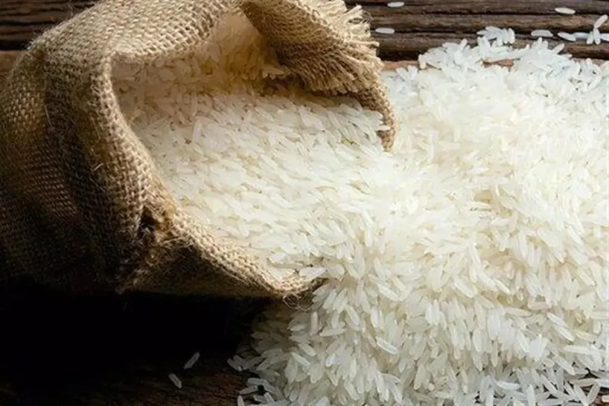 ۶۰۰ هزار تن برنج وارداتی منتظر عرضه‌ به بازار است