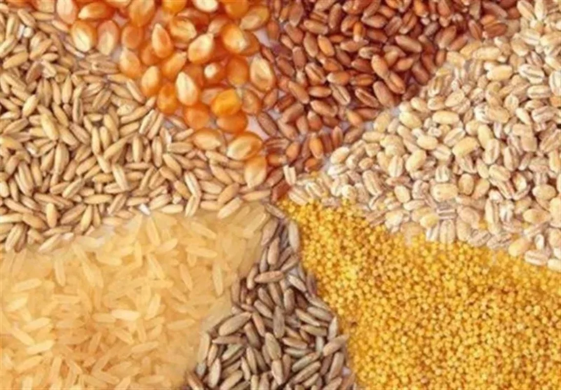 اعلام ضوابط جدید واردات نهاده‌های دامی