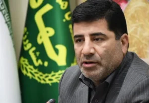 نسخه وزارت جهاد برای کاهش قیمت کالاهای اساسی/ قرار نبود اعتبار کالابرگ ثابت بماند