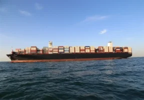 «حکشتی» در خصوص ایفای تعهدات ارزی شفاف سازی کرد