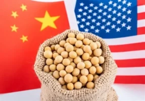 بازار چین روی خوش به سویای آمریکا نشان نداد