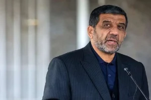 ضرغامی: شورای نگهبان در ‎انتخابات شورا‌ها نقشی ندارد