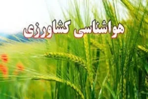 کشاورزان تنظیم و آبیاری باغات را در دستور کار قرار دهند