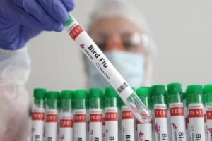 مورد انسانی از آنفلوآنزای پرندگان در ایران گزارش نشده است