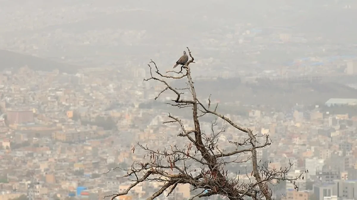 آلودگی هوا در ۱۰ شهر خوزستان