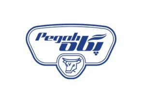 عرضه اولیه سهام شرکت کشت‌و‌صنعت‌ودامپروری پگاه فارس به روش ترکیبی در فرابورس