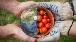 میانگین خودکفایی غذایی کشور چند درصد است؟