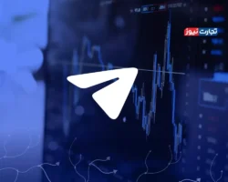 رونمایی از شبکه غیرمتمرکز Cocoon / شبکه هوش مصنوعی بر پایه TON توسط پاول دورف