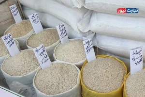 تقابل دیدگاه تولیدکنندگان و واردکنندگان برنج / نباید به‌دلیل واردات برنج تولید داخلی آسیب ببیند