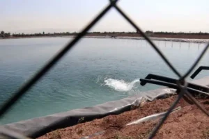 توسعه صنایع در شرایط کم‌آبی منطقی نیست/ تلفات ۶۰ درصدی آب در برخی استان‌ها