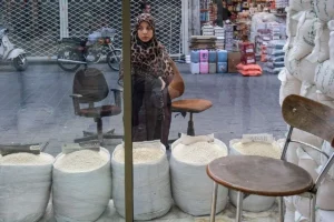 معمای واردات برنج پاکستانی به کشور