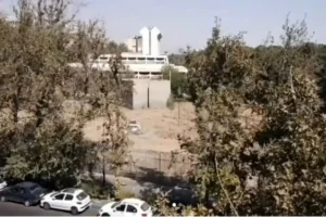 پشت پرده قطع درختان موزه فرش