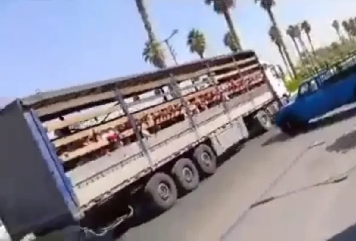 جابجایی دانش‌آموزان یک مدرسه در جهرم با کامیون + ویدیو / آموزش و پرورش: از ما مجوز نگرفته بودند