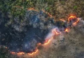 انجام 60 سورتی پرواز برای اطفای حریق در الیت