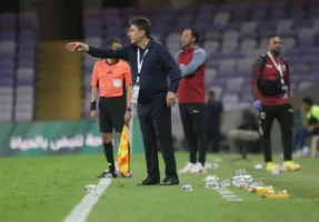 قلعه‌نویی: باید از بازی تیم ملی تعریف شود