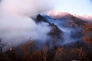 محیط‌زیست باید در جنگل دوربین‌های تله‌ای تعبیه می‌کرد