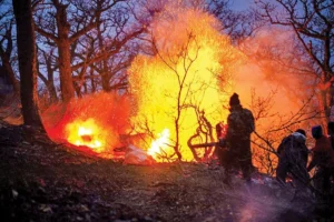 هواپیما‌های آب‌پاش ترکیه‌ای برای مهار آتش جنگل الیت وارد ایران شدند