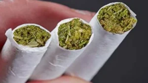 تله مافیای مواد مخدر با ساده‌انگاری «گُل»