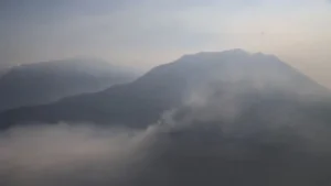 آتش‌سوزی به جنگل‌های الیت چالوس خسارت زد