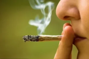 اثرات مخرب مخدر گل در ایران از تمام مخدرهای دیگر بالاتر است