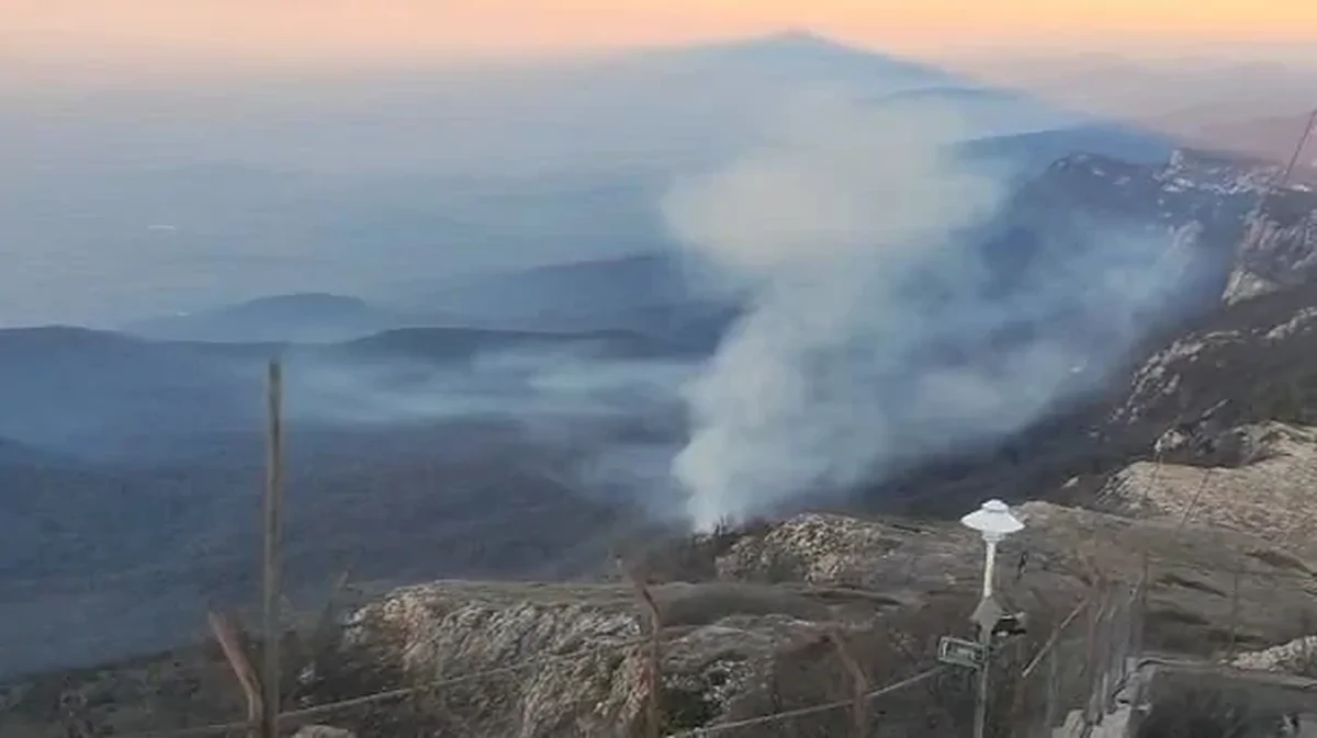 چند متر از جنگل‌های درازنو درگیر آتش است؟