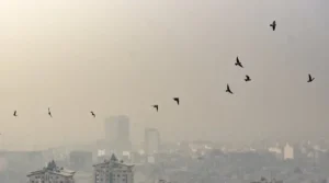 تصمیم‌گیری درباره آلودگی هوا بر اساس میانگین ۲۴ ساعته است