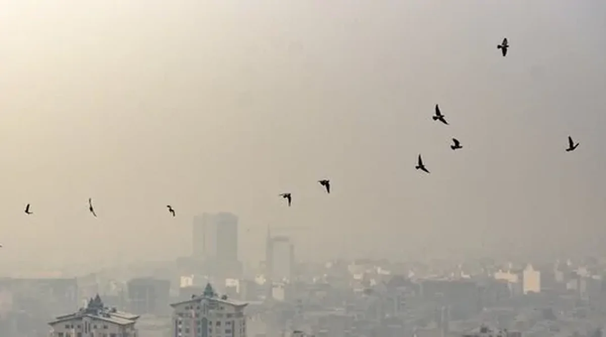 تصمیم‌گیری درباره آلودگی هوا بر اساس میانگین ۲۴ ساعته است