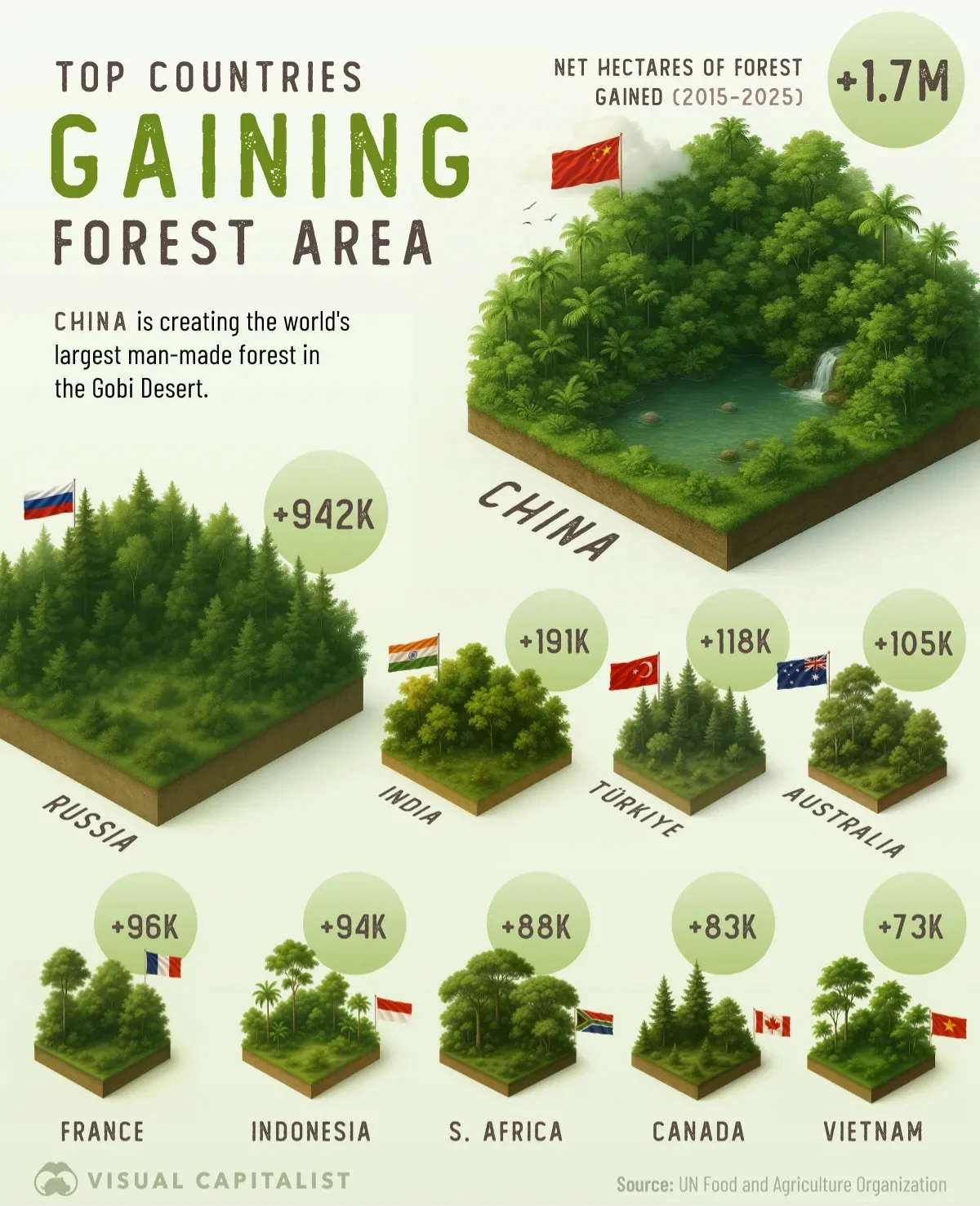 کدام کشورها بیشترین میزان جنگل را به وجود آورده‌اند؟
