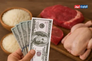 صدور مصوبه واردات بدون منشأ ارز / آیا آژیر خطر گرانی کالاهای اساسی به صدا درآمد؟