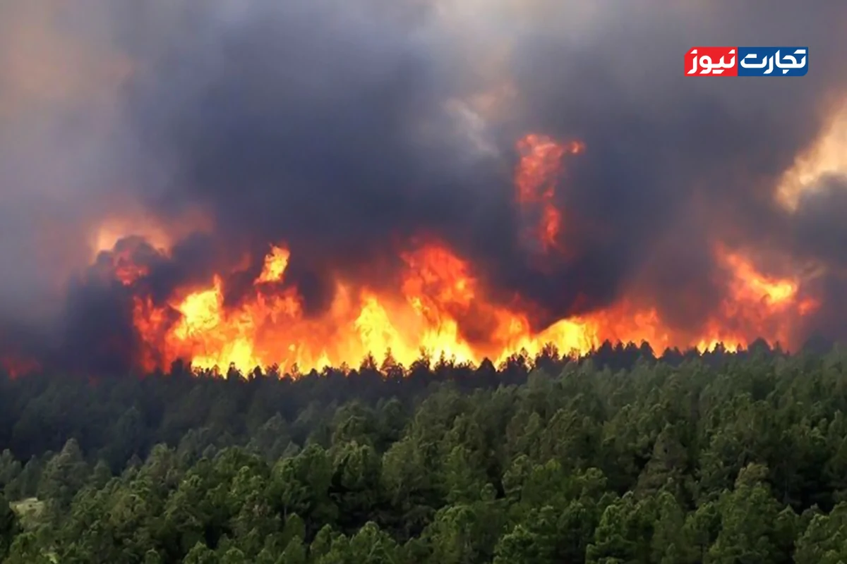 فاجعه در الیت؛ ریه‌های مازندران سوخت