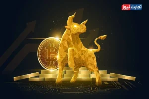 آیا این اندیکاتور نشان دهنده پایان بازار گاوی برای بیت کوین است؟