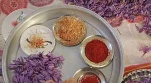 درد خام‌فروشی با راه‌اندازی پالایشگاه گیاهان دارویی درمان می‌شود؟